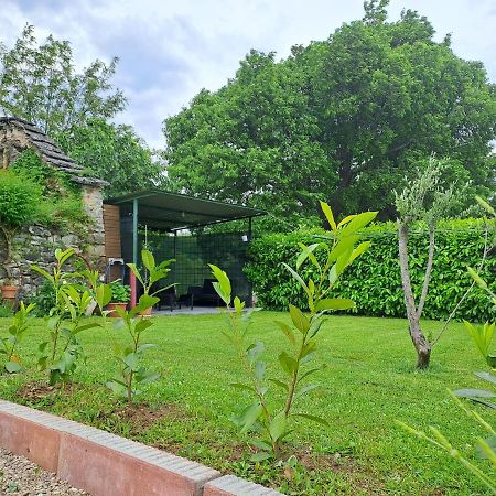 Guesthouse Marija Potpićan Εξωτερικό φωτογραφία