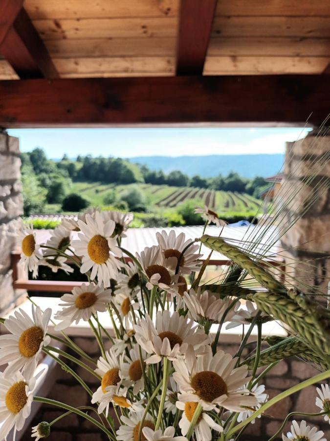 Guesthouse Marija Potpićan Εξωτερικό φωτογραφία